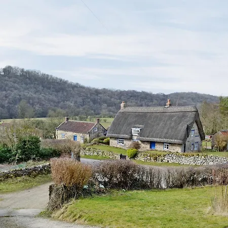 Swiss * Rievaulx